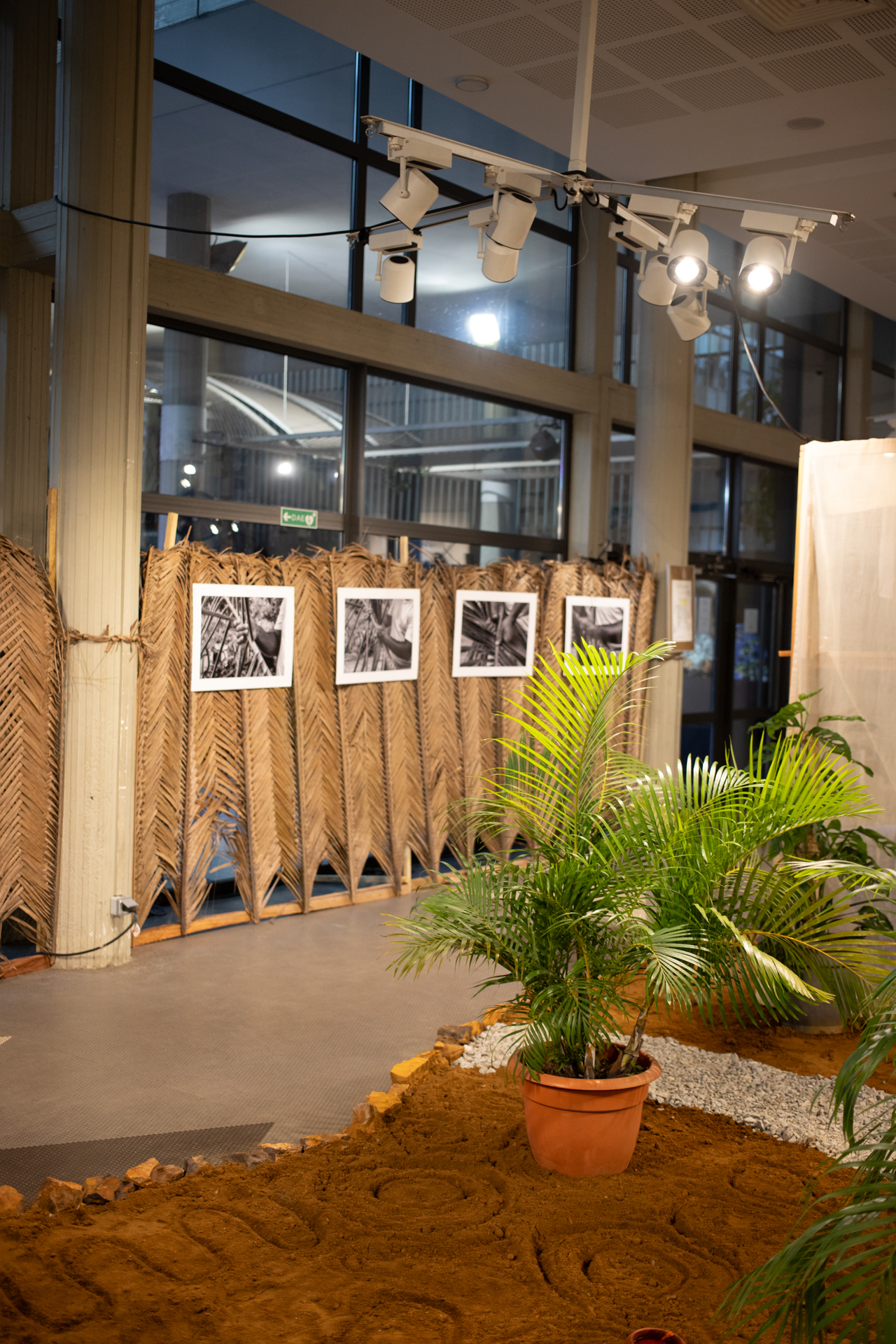 Vernissage IF CI IMG_8953