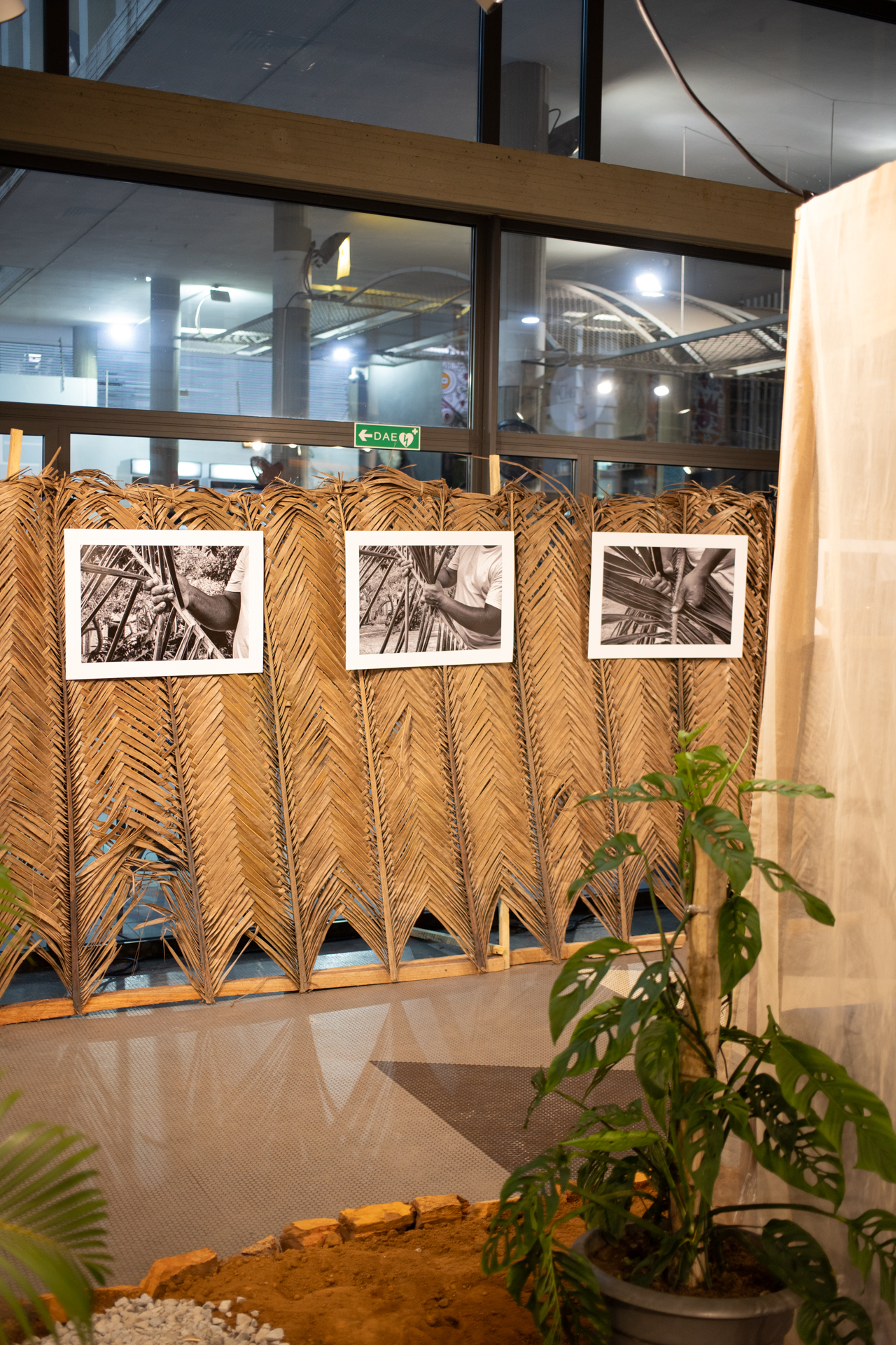 Vernissage IF CI IMG_8954
